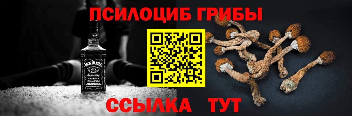 Псилоцибиновые грибы ЛСД  Вход с VPN  Кириши 